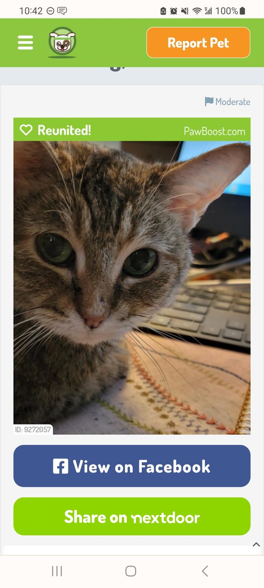 Professor Minerva McGonagall tweet media