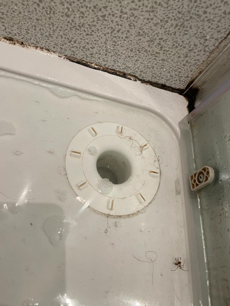 Ildiko McCabe tweet media