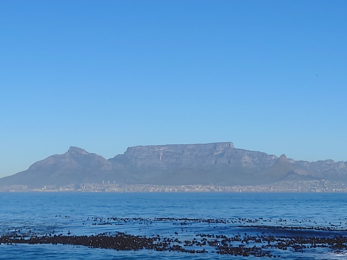jbuchanan_ox's tweet image. Cape Town from Robben Island, what an incredible setting #IHEA2023 #IHEA2023Congress
