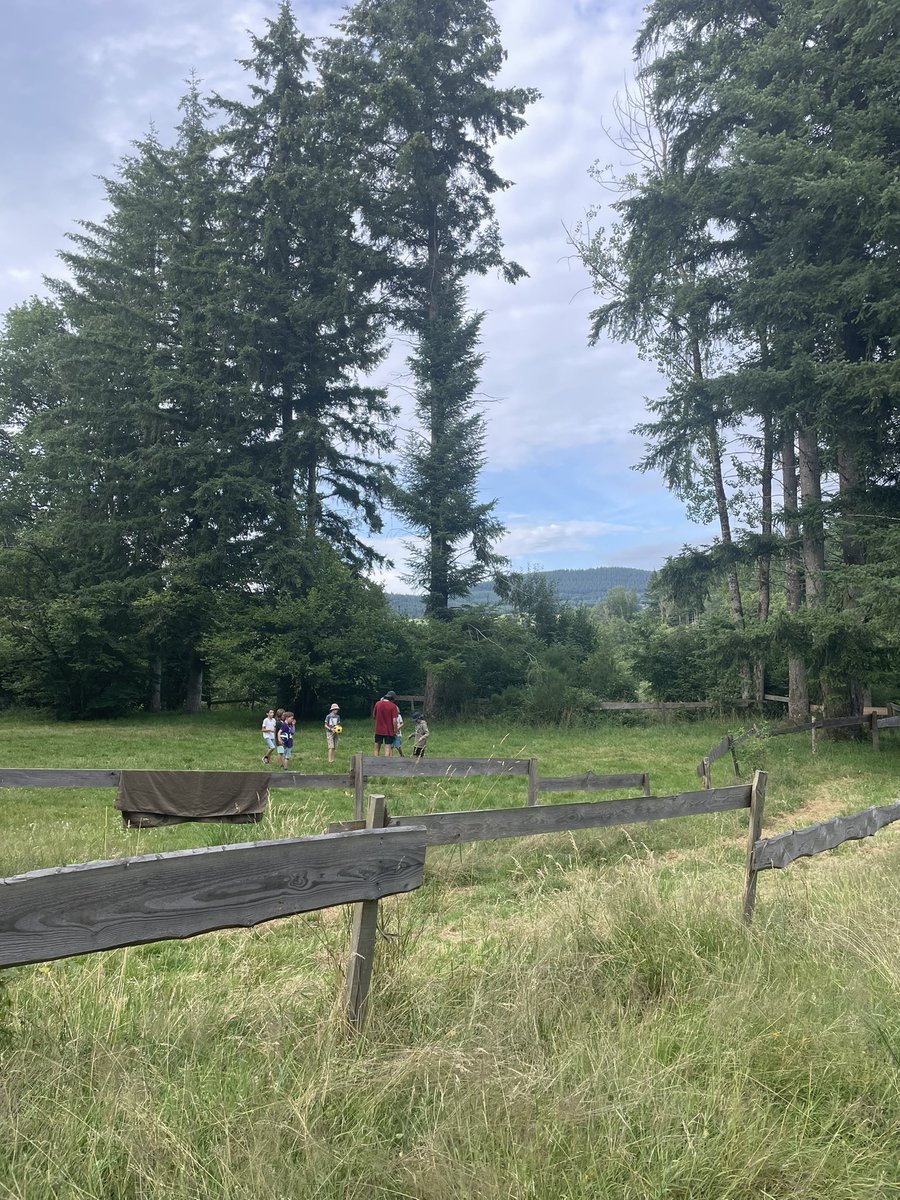 EEDF_merignac's tweet photo. 🏕️ Aujourd’hui nous avons passé une première journée sur le domaine de la Planche !
👾 Tout le monde est prêt pour vivre l’aventure scoute et laïque avec les @EEDF_officiel.
#Scout #Laique #EEDF #camp https://t.co/bElDNTaIbR