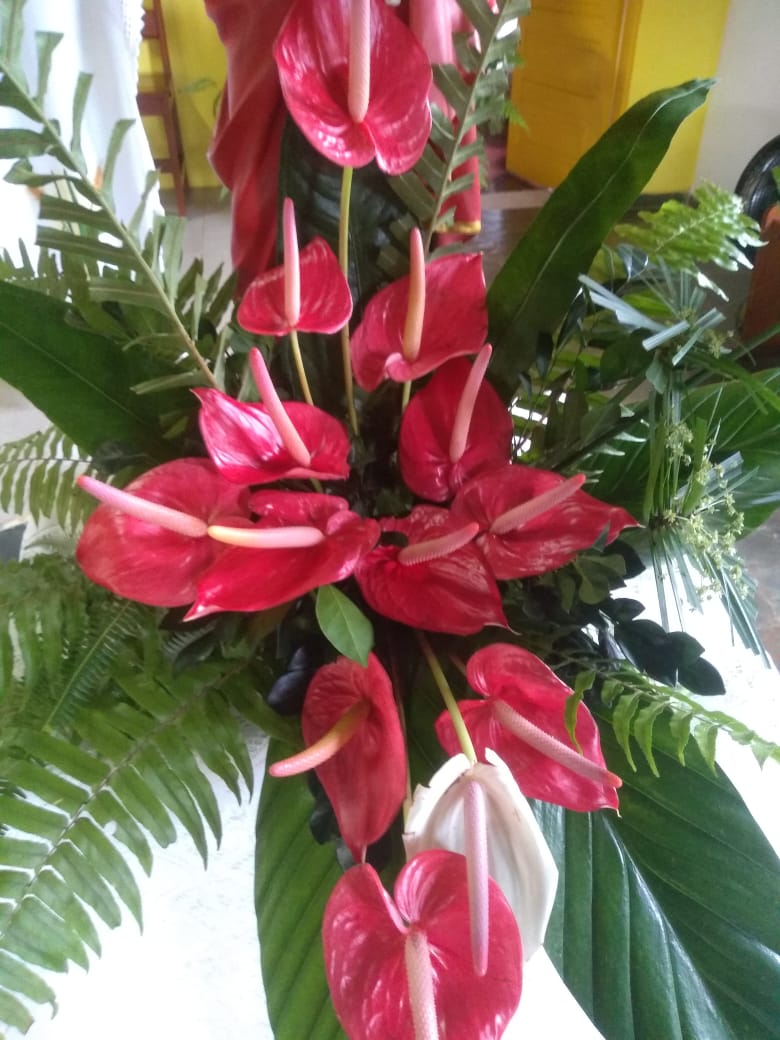 #Bíblia 🕊💘🔥#testemunhoDeJesus #evangelho <a href="/RosaMar14112784/">Rosa Mariana</a>
"Se os mortos realmente não ressuscitam, por que se batizam por eles...( 1COR 15,29;1Pd3,18-22;Ecl 3,14-15) #Fé # batismo # Consciência # Ñ tô de aviso prévio [ Fl 3,12-14;Is 50,1-9 ]#Jesus 💘🔥🌻💞