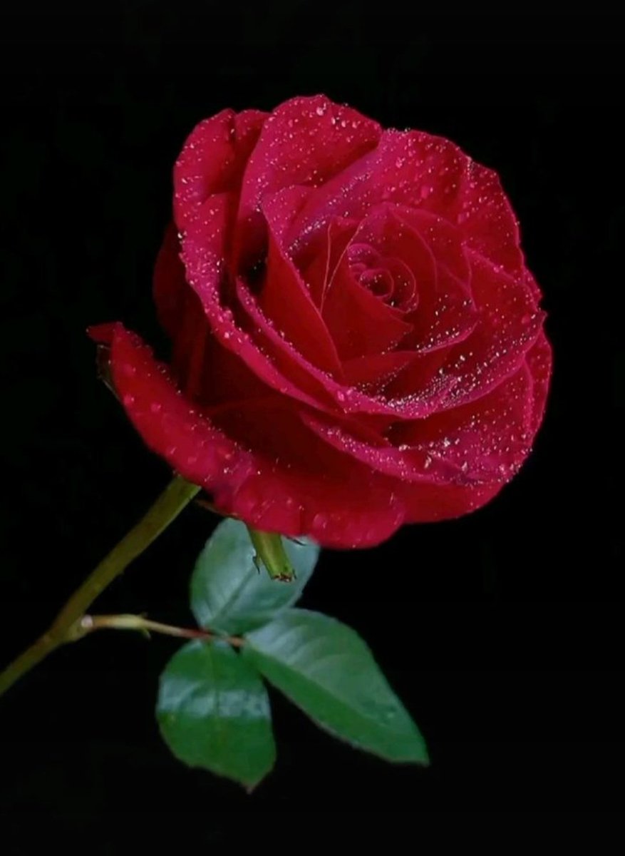 Always keep smiling
Wishing you have a lovely day