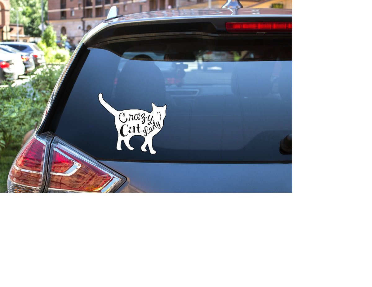 robincarlson03's tweet photo. Vinyl Decal for Crazy Cat Lady, Funny Decal for Laptops, Windows, Water Bottles, Girlfriend Gift https://t.co/AbzQ003c4t #Etsy #SignsofTimeDesigns #CustomVinylDecal https://t.co/RB1PODWDma