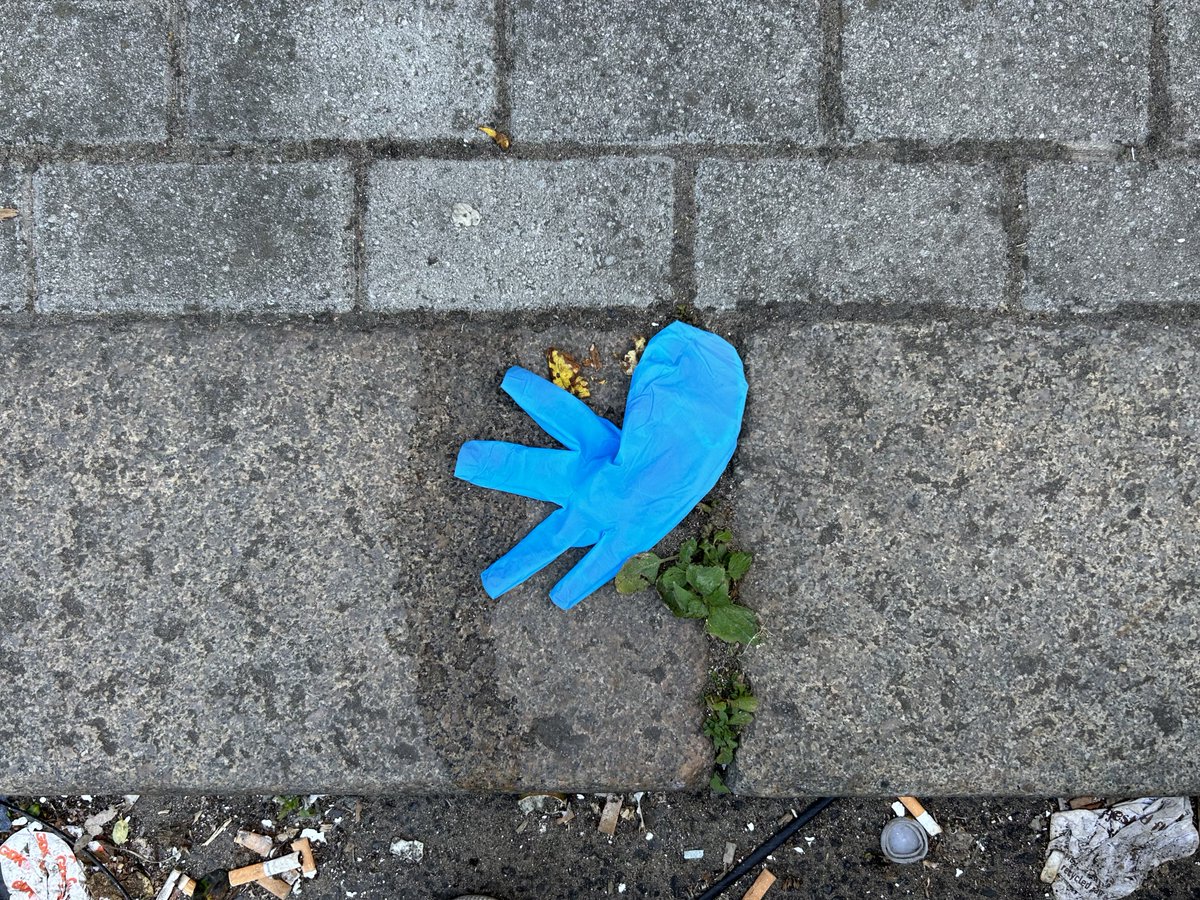 Found a dead Twitter on the street.
