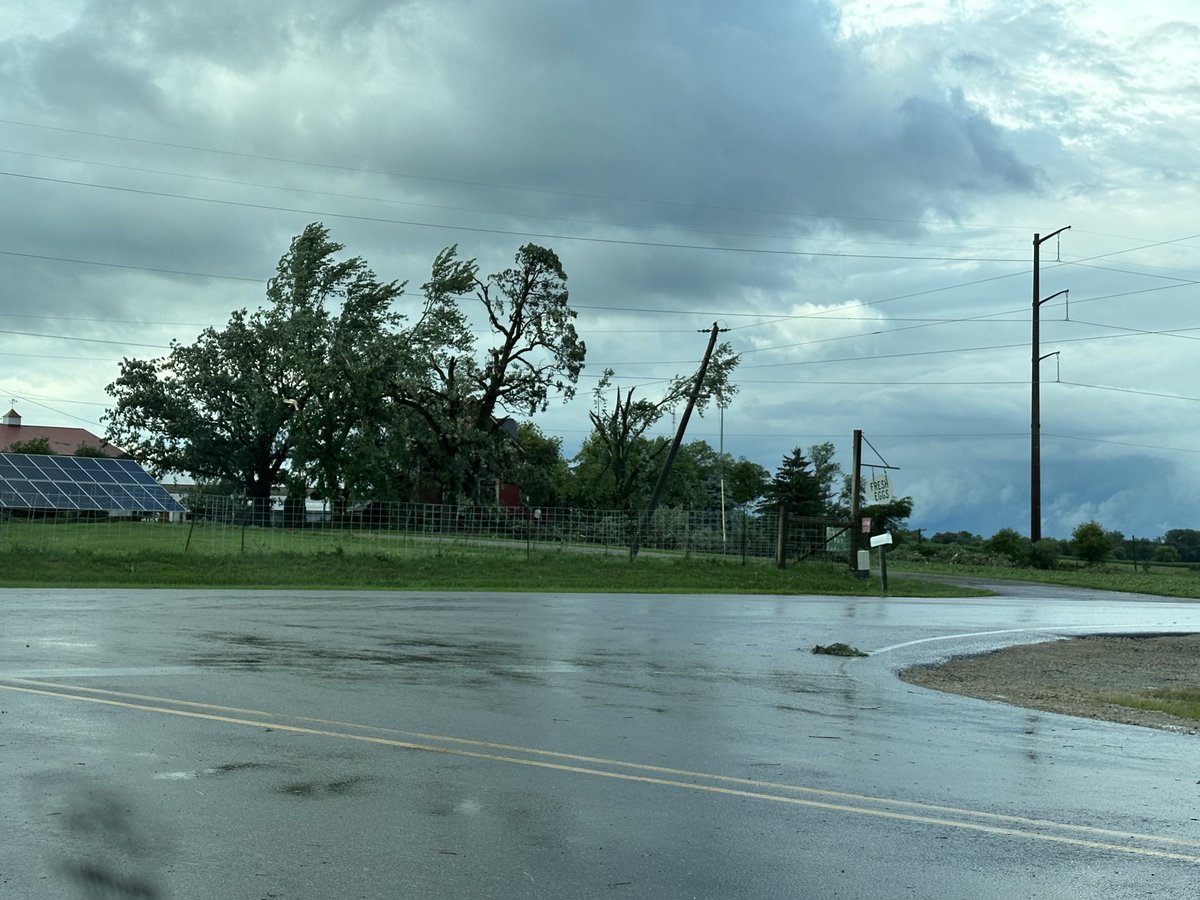 SamBertellotti's tweet photo. @NWSChicago minor damage in Neighborhood with shingles off and some large tree limbs down. Bowes Creek Forest preserve area on Bowes Road https://t.co/hCdxzw4znz