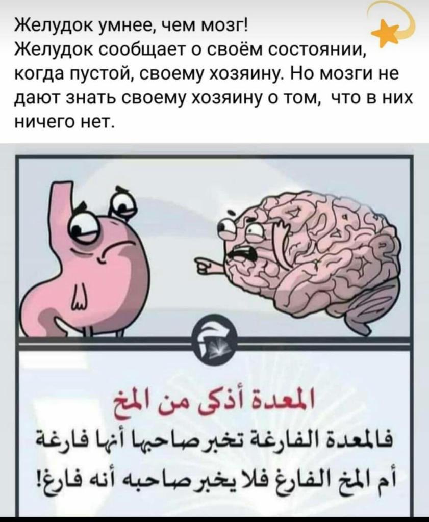 Samis2mi's tweet photo. المعدة والمخ https://t.co/LyyyrpSIQy