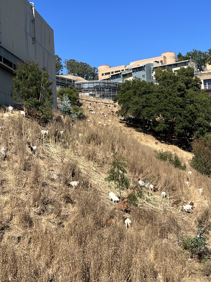 BerkeleyLab tweet picture