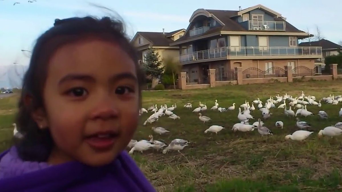 Look at ALL those PIXELS!👏