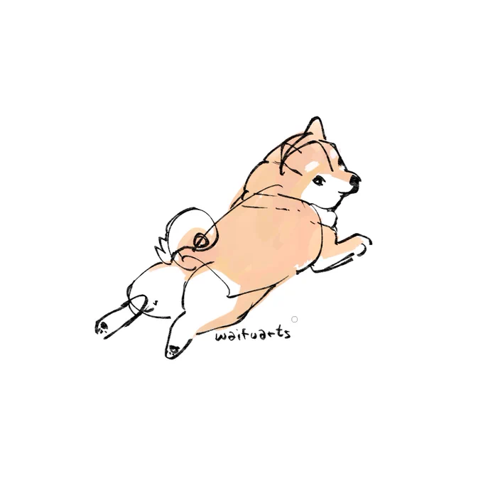 sploot
