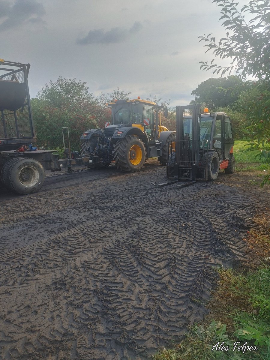 Beautiful morning for the beginning of sour cherries harvest. 🍒🍒🍒🍒🍒<a href="/BrettSchuyler/">Brett Schuyler</a>