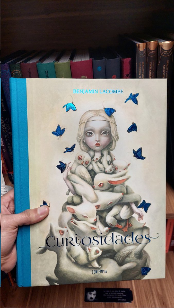 cesarbolivar08's tweet photo. @EdelvivesArg @BENLACOMBE ¡Vamos! ❤️📚
El mejor ilustrador y la mejor editorial. Tremenda combinación 🙌
#LeerEsUnRefugio
#LeerNosSalva
#LeerNosConecta https://t.co/ohHyTmUqZB