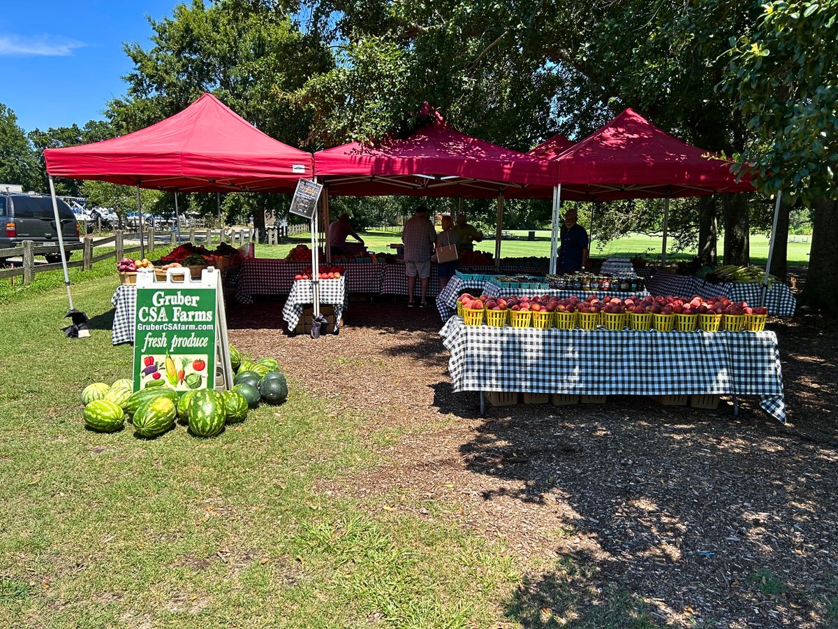 CharlestonVotes's tweet photo. Our team is ready to assist voters at the @washleyfarms!
Come visit us from 3 p.m. until 7 p.m. at Ackerman Park!
#CHSVotes #CHSNews #CharlestonSC #Elections #VoteReady #Voting #FarmersMarket #WestAshley #WestAshleySC https://t.co/JzUppVY8Gm