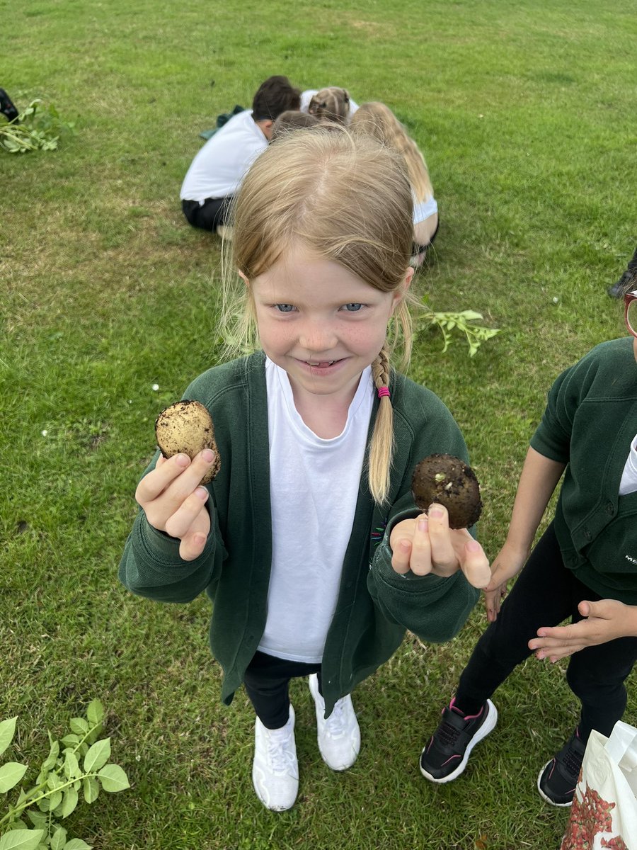 Meadowside Year 2 Fir tweet media