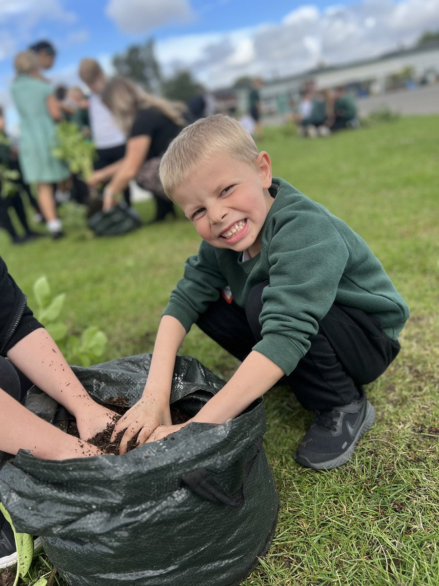 Meadowside Year 2 Fir tweet media