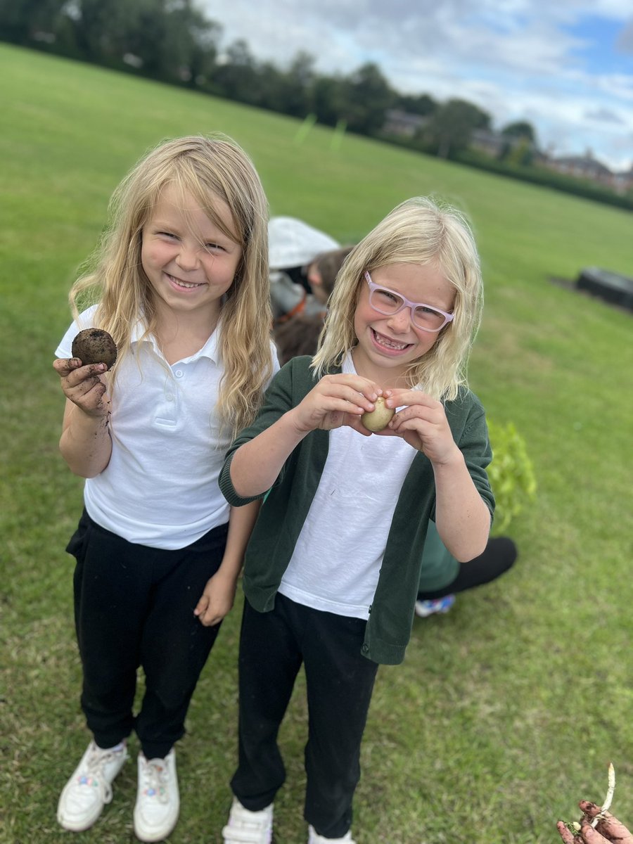 Meadowside Year 2 Fir tweet media