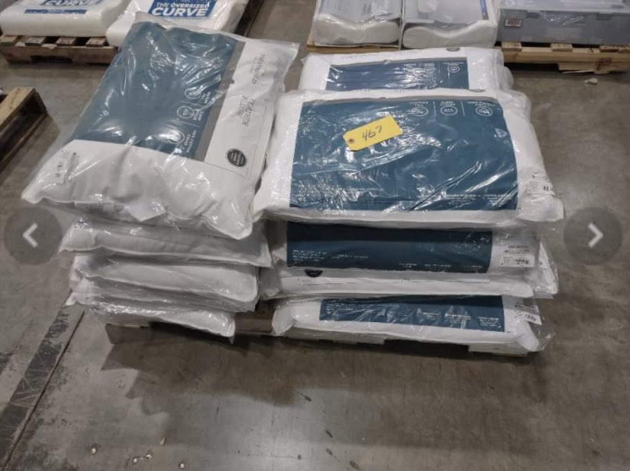 Mike Lindell’s emergency auction is a disaster. There’s dozens of items with $5 bids. Plus, they have pallets of “surplus” pillows selling for $51 a pallet.