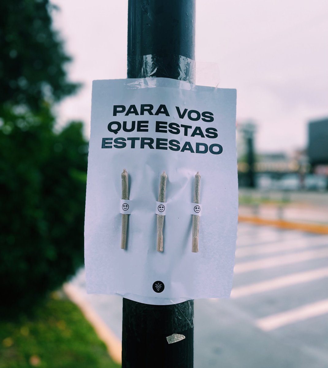 CosechaLibre's tweet photo. 😎 https://t.co/ni6W5qvIx1