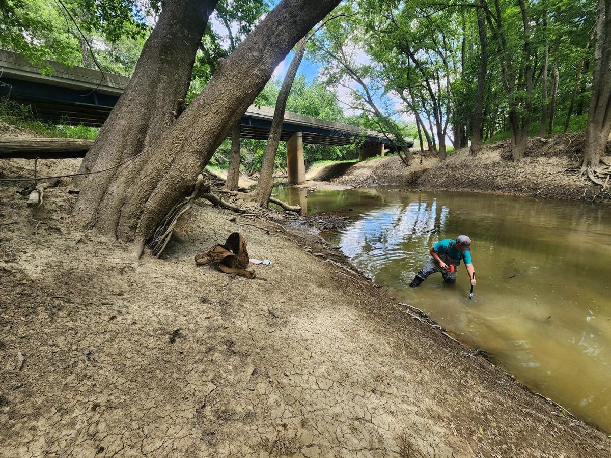 Recently wrapped up our Midwestern field work. Installed stream temperature sensors in ~20 ag watersheds to try to figure out how tile drains affect stream temperatures. Results to come! #NSFfunded