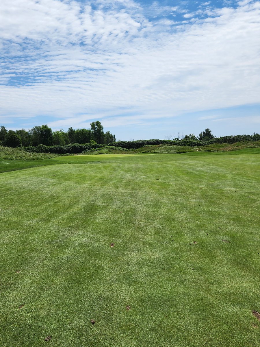 p_penney's tweet photo. Another lovely day for mens league! #realgolf https://t.co/dR8YP0JNU3