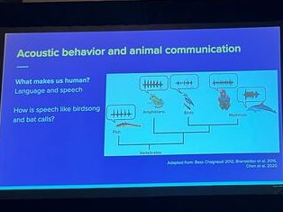 nicholdav's tweet photo. #SciPy2023 talk on vak and vocalpy went well!

Slides here with links:
https://t.co/U33CzYENaS

Now for the rest of @SciPyConf 😅 https://t.co/WEz2Fh7IFa