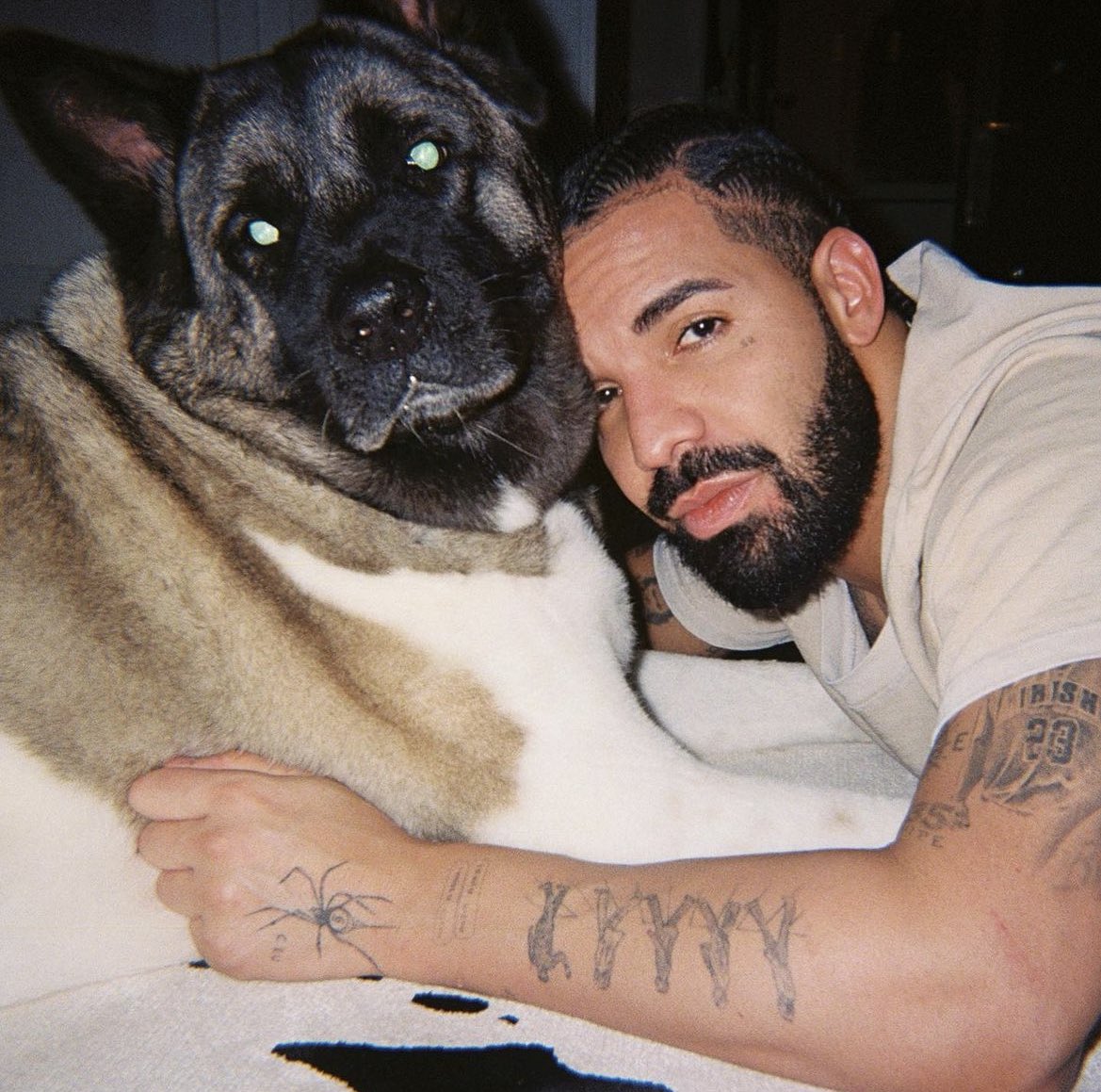 Drake on his new album "For All The Dogs" 🐶 

"I'm tired of everybody coming up to me, saying man we miss that old Drake man. Imma give it to you then"