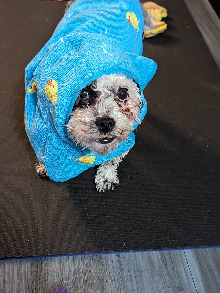 I have been sick for a few days so mom gave me a bath to try to make me feel better.