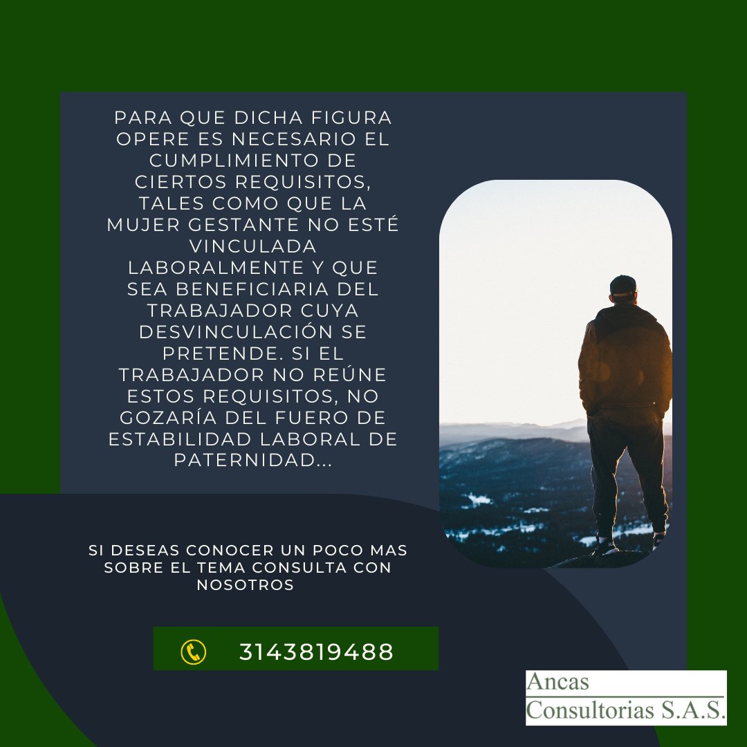 Ancas Consultorías S.A.S tweet media