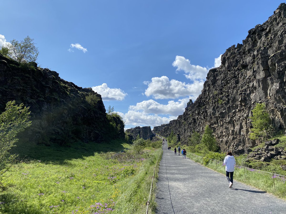 valeriamancuso1's tweet image. Ritorno nei luoghi del❤️
#iceland 🇮🇸#Islanda #Gullfoss #geysir #Lagunablu #pingvellir