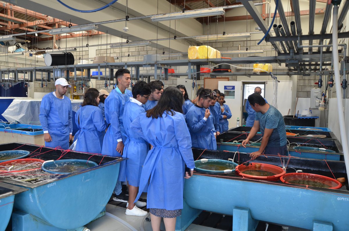 CENAIM_espol's tweet photo. Continuamos brindando apoyo académico a los estudiantes de las carreras afines a la acuicultura, en esta ocasión recibimos la visita de un grupo de estudiantes de la carrera de #Biología de la @utpl, quienes pudieron observar los procesos de cultivo e investigaciones marinas. https://t.co/vZbnXiBpUO
