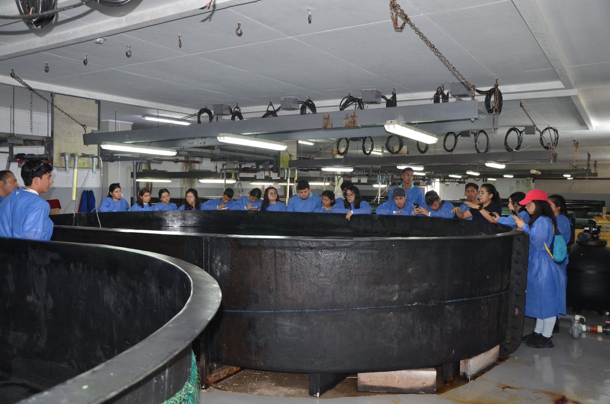Continuamos brindando apoyo académico a los estudiantes de las carreras afines a la acuicultura, en esta ocasión recibimos la visita de un grupo de estudiantes de la carrera de #Biología de la <a href="/utpl/">🎓 UTPL</a>, quienes pudieron observar los procesos de cultivo e investigaciones marinas.