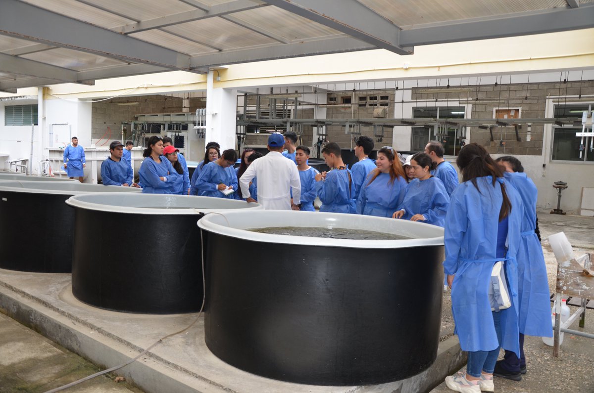 CENAIM_espol's tweet photo. Continuamos brindando apoyo académico a los estudiantes de las carreras afines a la acuicultura, en esta ocasión recibimos la visita de un grupo de estudiantes de la carrera de #Biología de la @utpl, quienes pudieron observar los procesos de cultivo e investigaciones marinas. https://t.co/vZbnXiBpUO