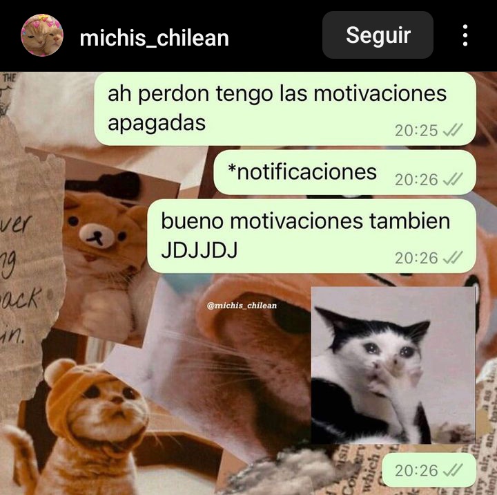 arcenica's tweet photo. @eldasarahy Feliz día del abogado 😿 https://t.co/PsfB92lDG8