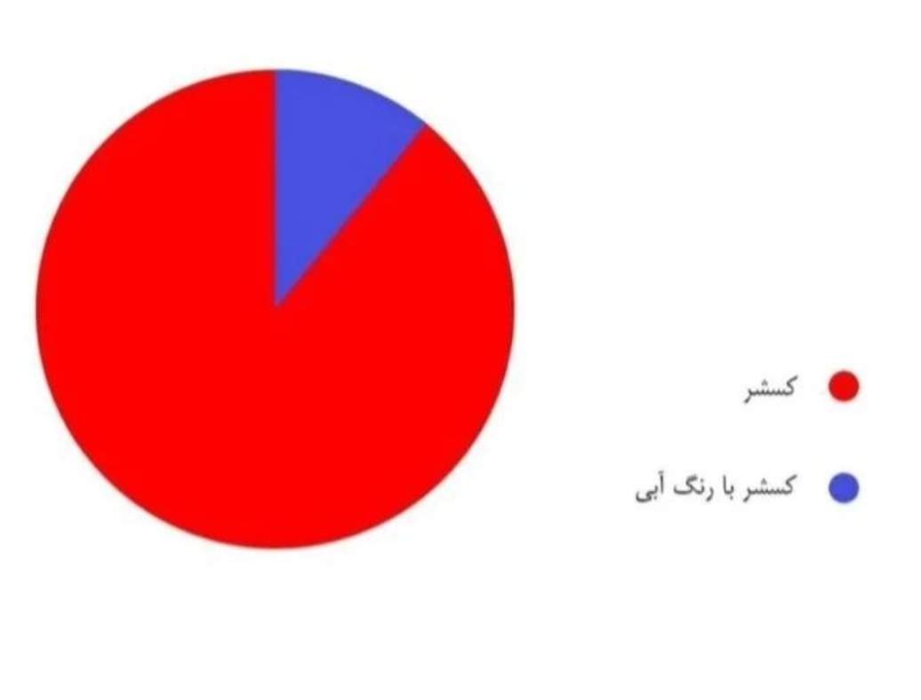 moaming22's tweet photo. جوری که تابستون داره میگذره : https://t.co/D97TCo8nOv