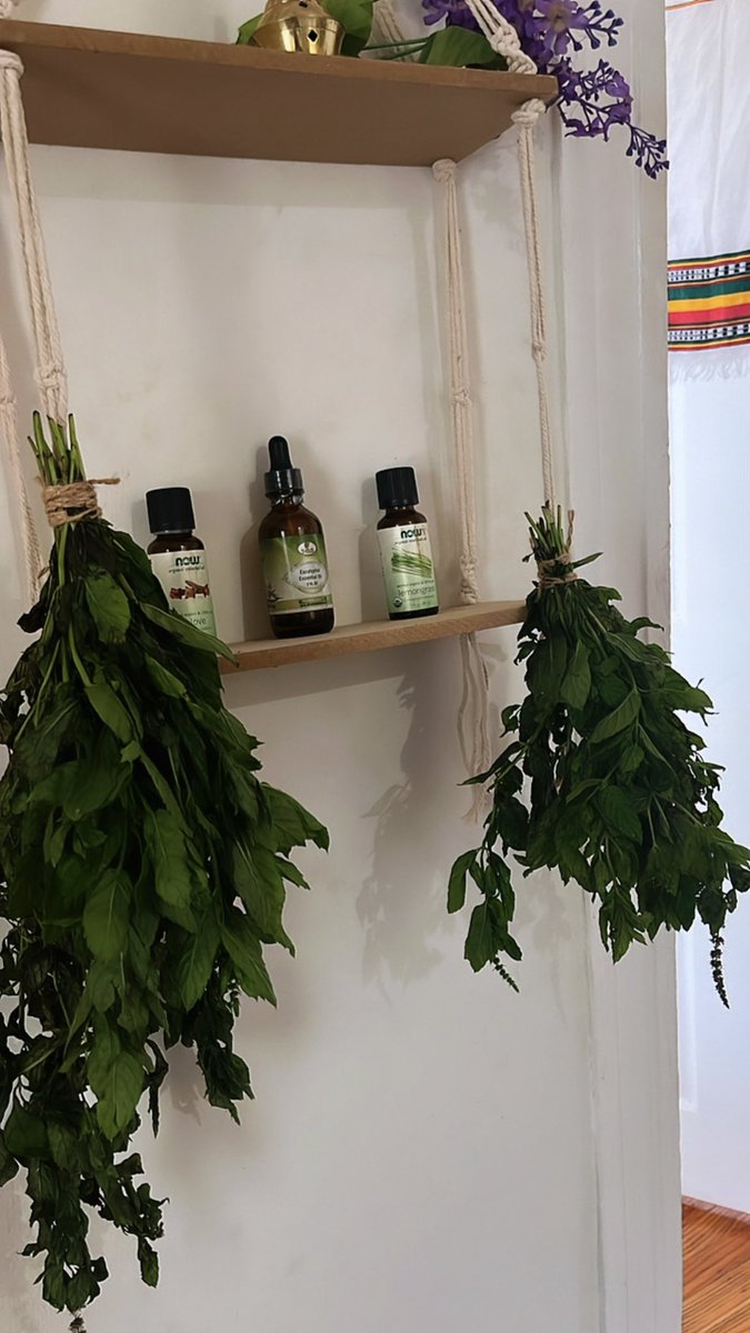 Freshly harvested spearmint from the garden, washed and dried. My home smells so divine.