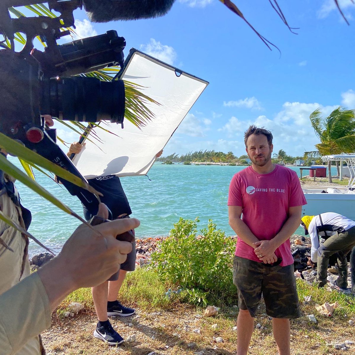 Saving the Blue tweet media