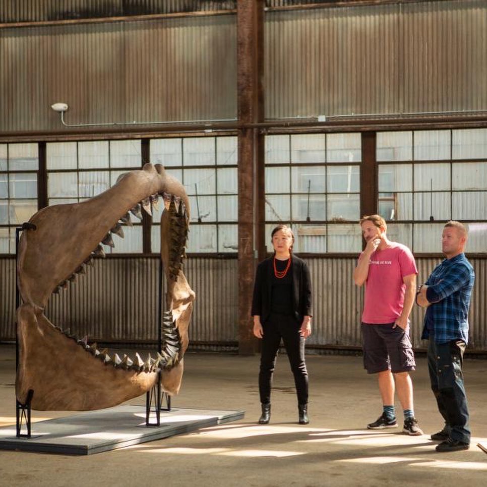 Saving the Blue tweet media