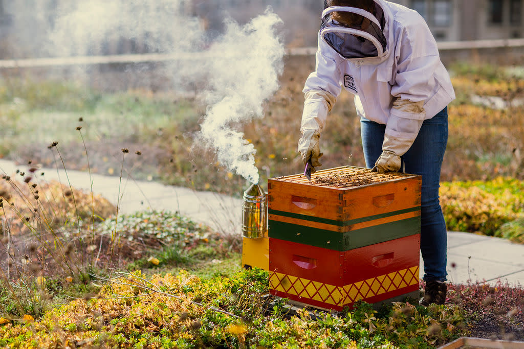 Le Merigot Santa Monica tweet media