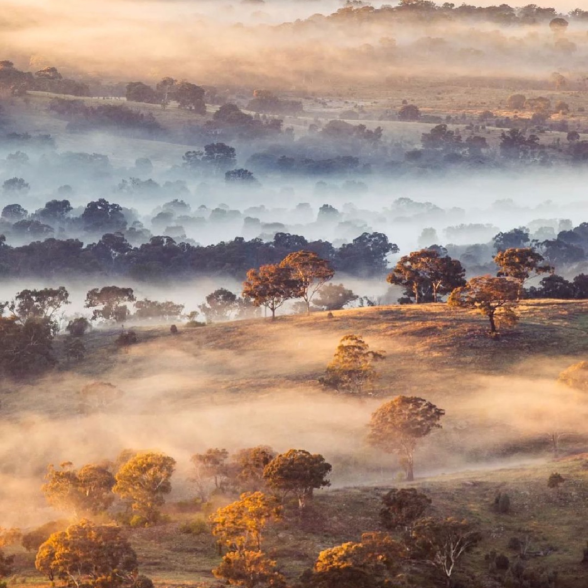 Misty mornings in @visitcanberra are pretty hard to beat 💛 We're living for all the #winter snaps coming out of our capital city right now, and IG/wanderlust73's early-morning shot from Mount Majura is no exception! #seeaustralia #comeandsaygday