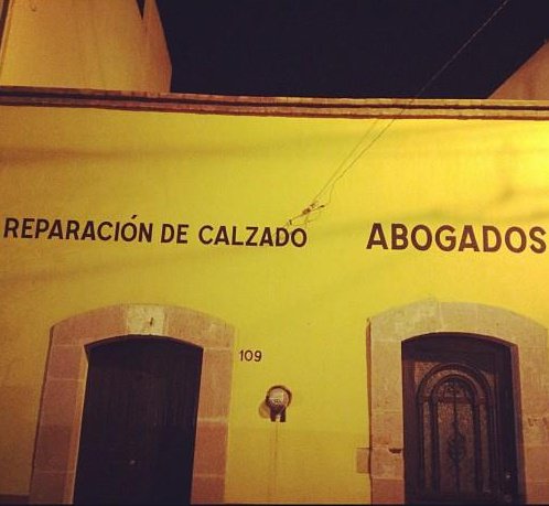 Oso Tramposo tweet media