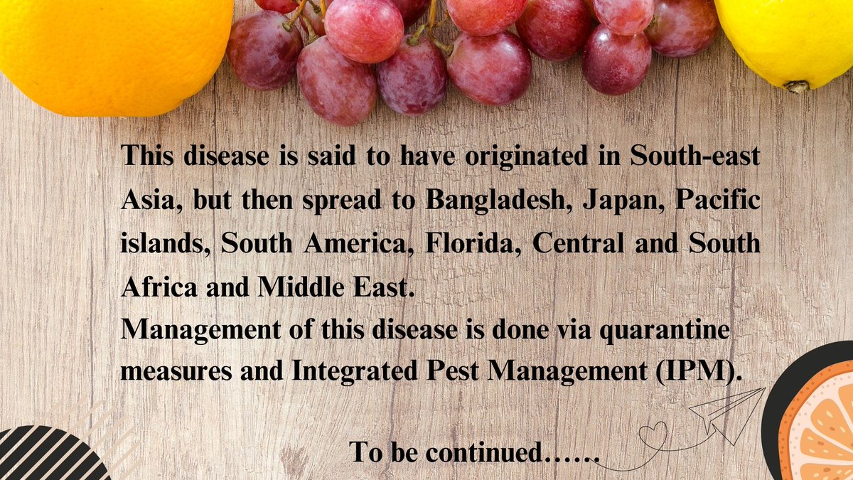Here arrives the second post of the series "The Xan' Saga". It features a common but destructive plant disease 'citrus canker'. Explore more about it as you venture through the slides......
#igem #igem2023 #science #biology #agriculture #pathogen  #Xanthomonas #citruscanker