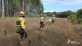 Naturaleza Castilla y León tweet media