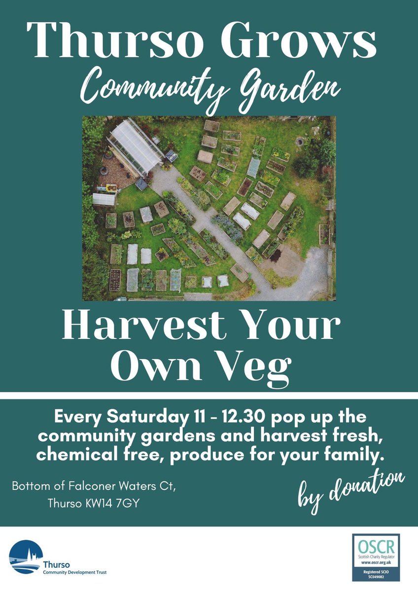 🌽 Starting this week! Pop up to the community gardens and harvest your own! 🥕 We want to share our excess produce with our community. 🍅 All by donation and a great activity to do with the kids! #CommunityFood #ChemicalFree #CommunityGarden