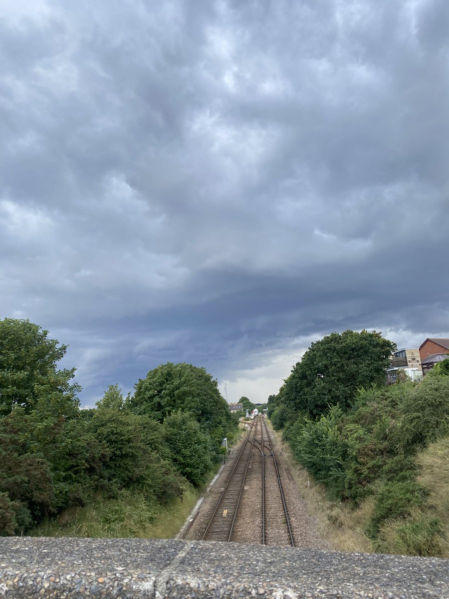 Roberta Medlock tweet media