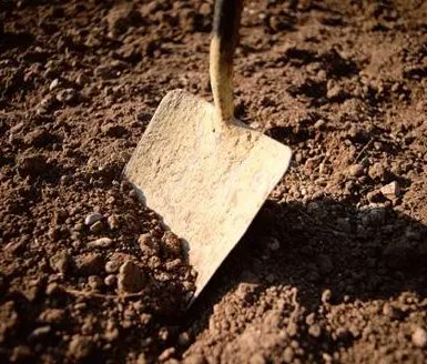 Topic

What part of funerals do you always find unneccesary? 

Send <a href="/quizydj/">Quizy</a> your voice notes on +266 622 00 998