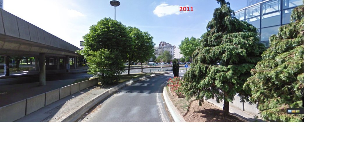 David92801's tweet photo. Pourquoi @villedeputeaux vous abattez des dizaines d'abres sur #Boieldieu #Puteaux. Vous êtes totalement â contre courant à l'heure ou le @gouvernementFR insiste sur la nécessité de vegetaliser les villes. Que cherchez vous ?arrêtez votre massacre! @leparisien_92 @LePoint https://t.co/gfp5Zx7LLr