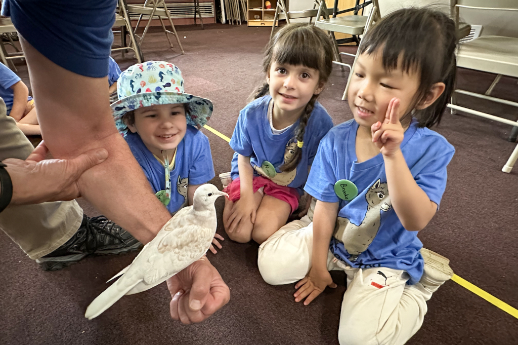 Queens Zoo on Twitter "Here at Queens Zoo, we’re wild about summer