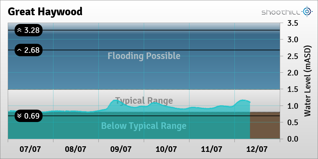 Great Haywood tweet media