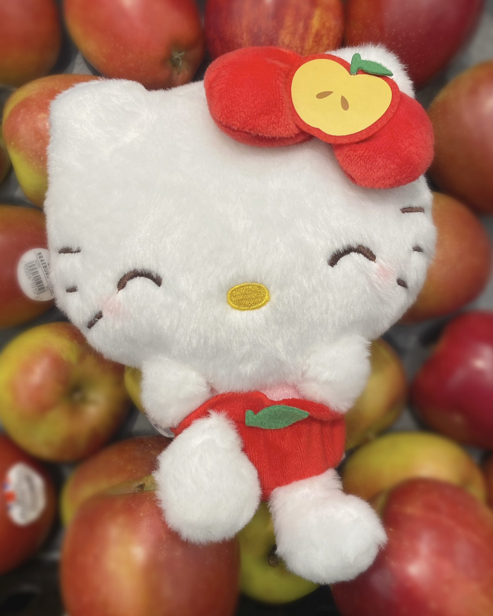 sanrio daily on Twitter: 