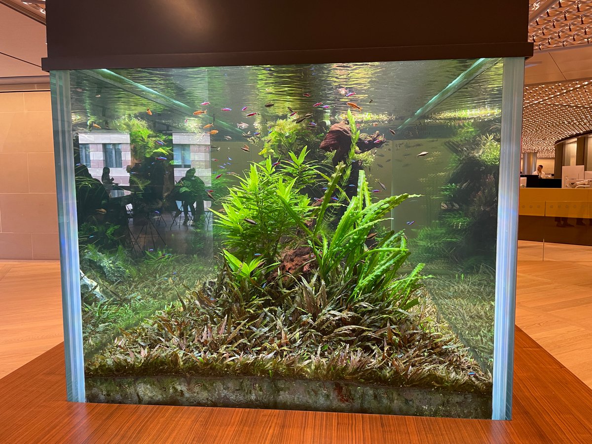 LondonSummerUM's tweet photo. Bloomberg News is the largest purchaser of tropical fish! There are large tanks in every Bloomberg News office around the world. https://t.co/utfYU4EfUz