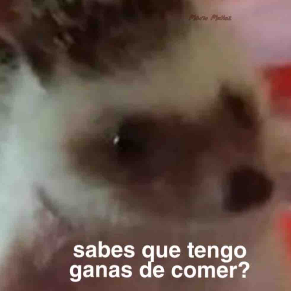 Nadie:

Yo de la nada: